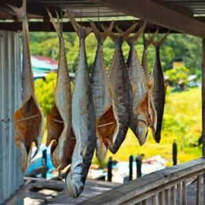 Tất Tần Tật Về Thực Phẩm Sấy Khô Mà Bạn Nên Biết